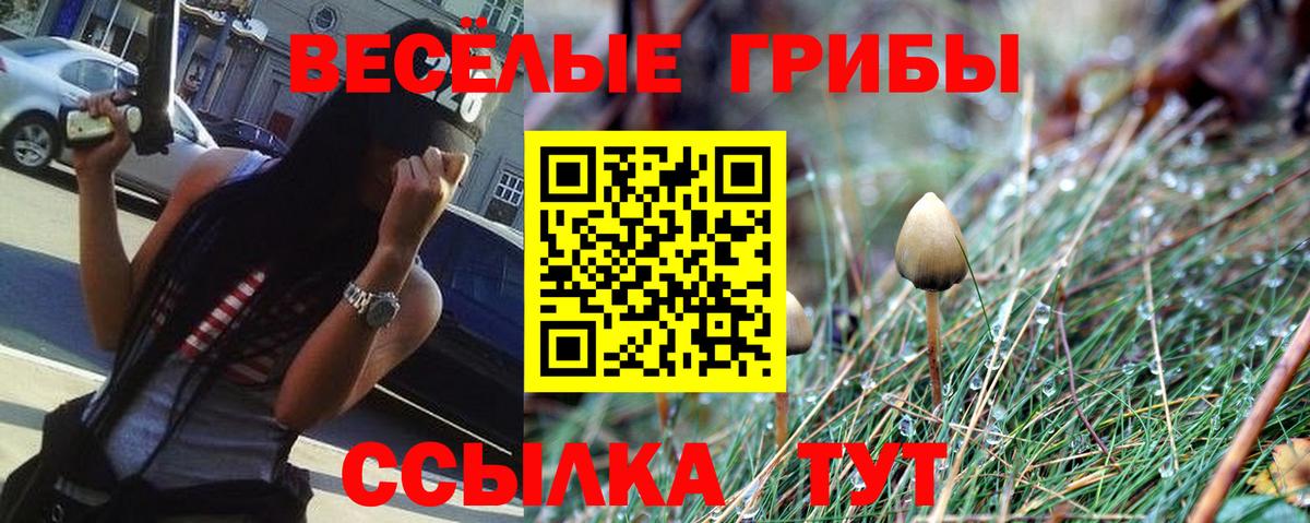 где продают   Вход с VPN  Ахтубинск  Галлюциногенные грибы прущие грибы 